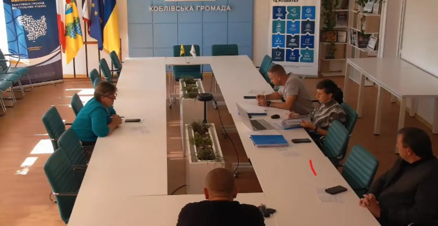 У Коблевому хочуть надати право користування 58 сотками прибережної землі. Скриншот засідання комісії