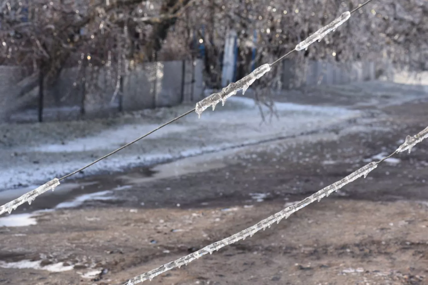 Обледенілі електромережі на Миколаївщині. Фото: Миколаївобленерго
