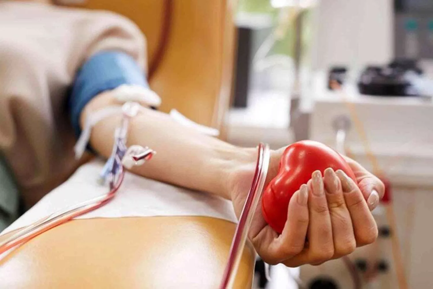 Фото: Миколаївська ОВА