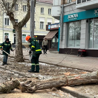 Проведення робіт з видалення аварійних дерев по вул. Соборній. Фото: КП 