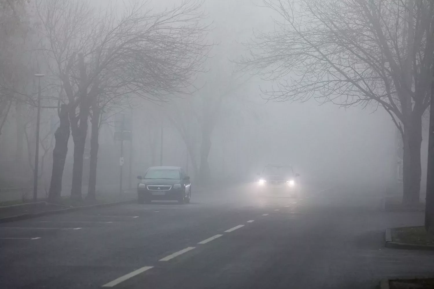 Туман на дорозі. Фото: pravda.if.ua