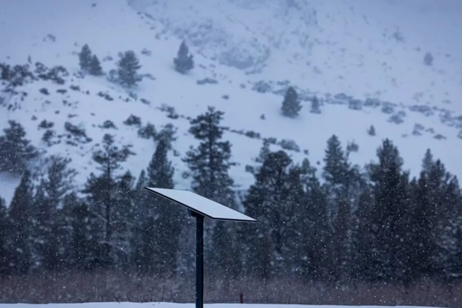 Система Starlink, яку використовують українські військовослужбовці. Фото: Yasuyoshi Chiba