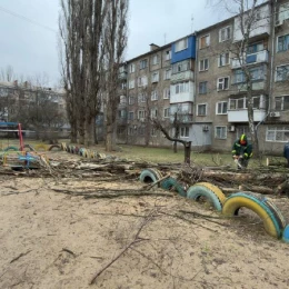 У Миколаєві через негоду впали дерева, фото: КП «Миколаївські парки»