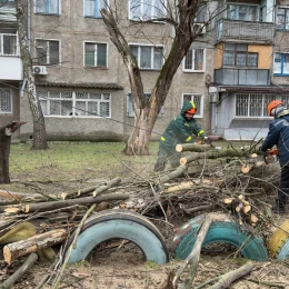 У Миколаєві через негоду впали дерева, фото: КП «Миколаївські парки»