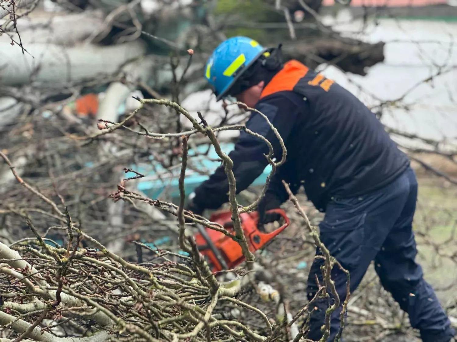 У Миколаєві через негоду впали дерева, архівне фото: управління з питань надзвичайних ситуацій та цивільного захисту населення Миколаївської міської ради