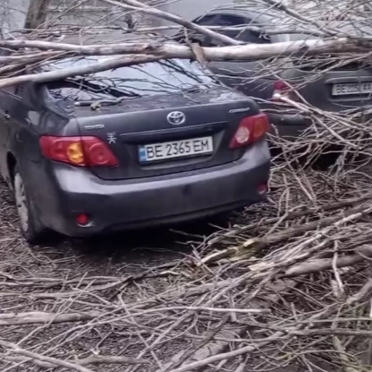 Дерева пошкодили автомобілі. Фото: НикВести