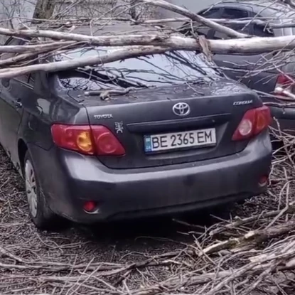 У лютому через негоду дерева падали на автомобілі. Фото: МикВісті