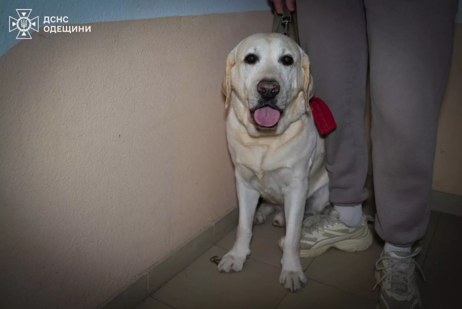 Обстріл Одеси 17 лютого. Фото: ДСНС