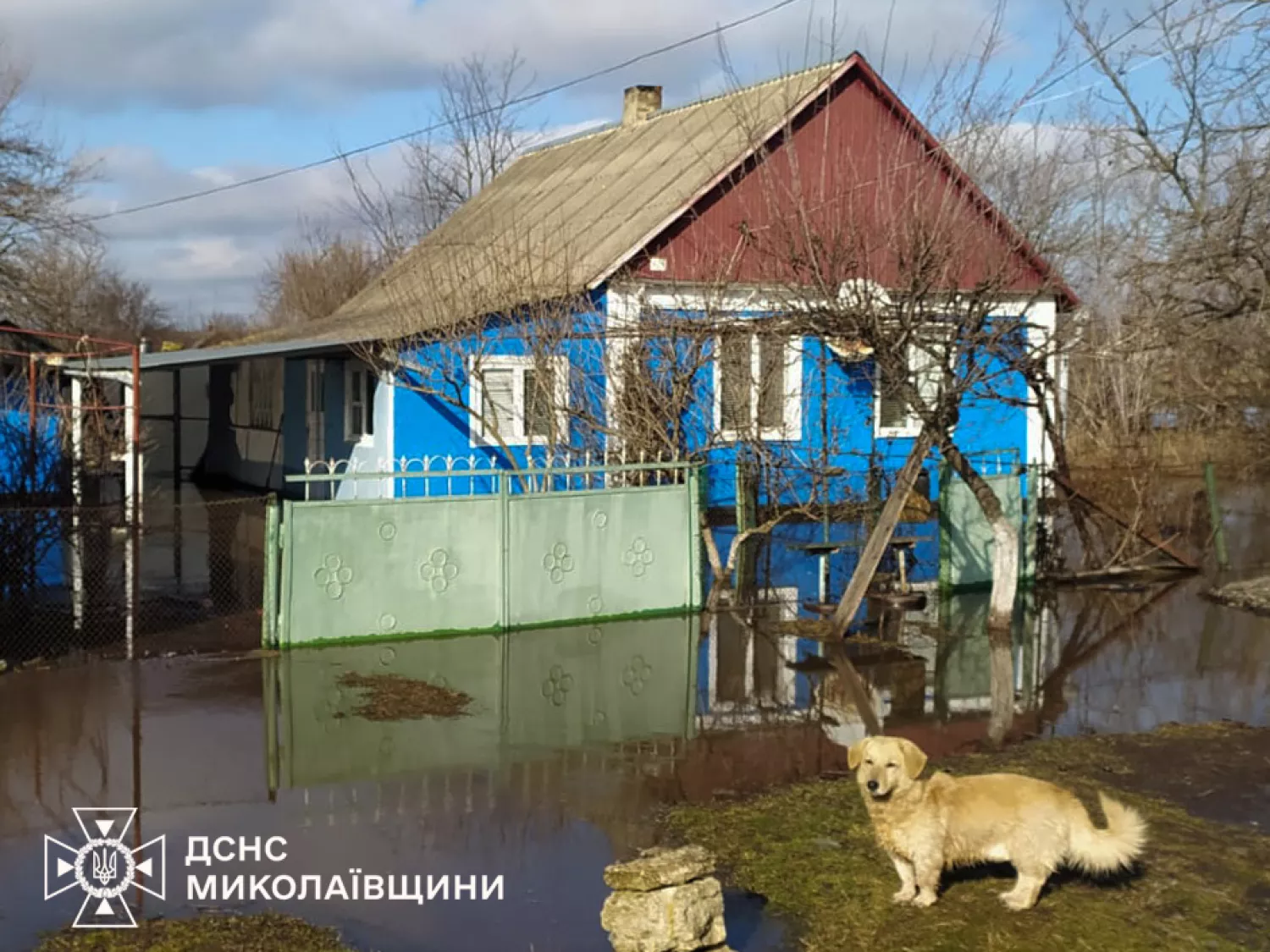 На Миколаївщині рятувальники продовжують ліквідовувати наслідки підтоплень після негоди. Фото: ДСНС Миколаївської області