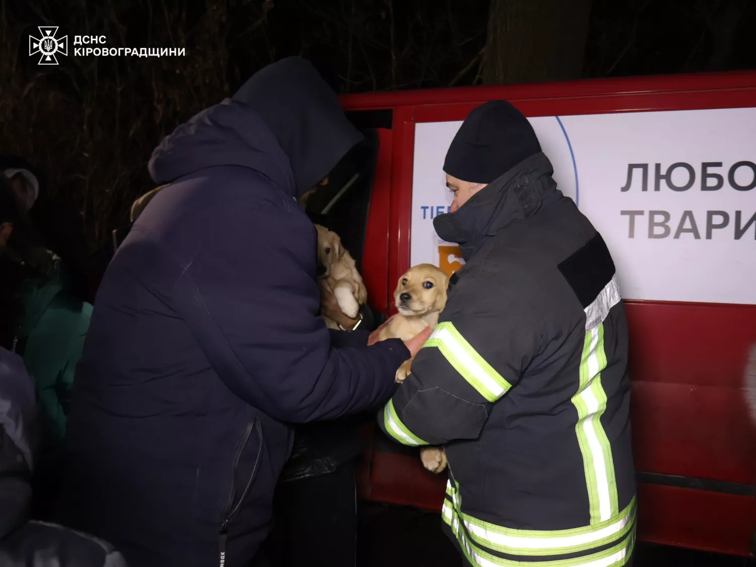 Врятованих після підриву Каховської ГЕС тварин знову евакуювали через повінь у Кропивницькому. Фото: ДСНС