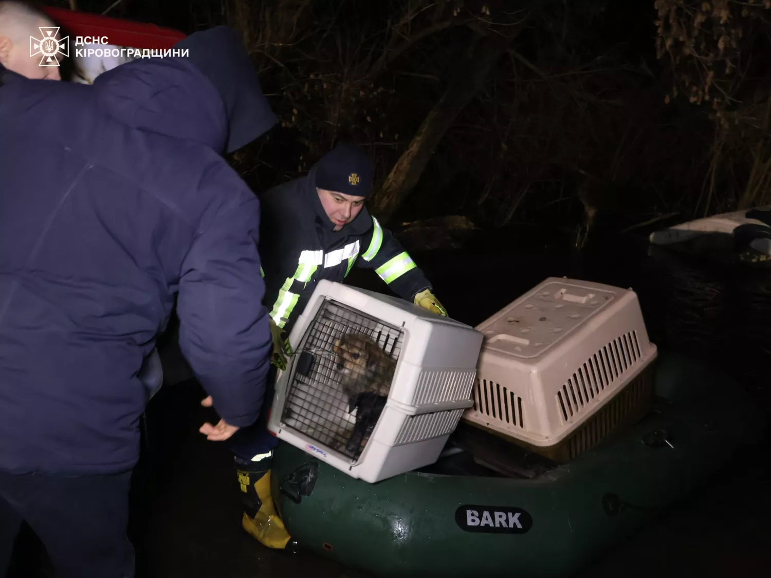 Врятованих після підриву Каховської ГЕС тварин знову евакуювали через повінь у Кропивницькому. Фото: ДСНС