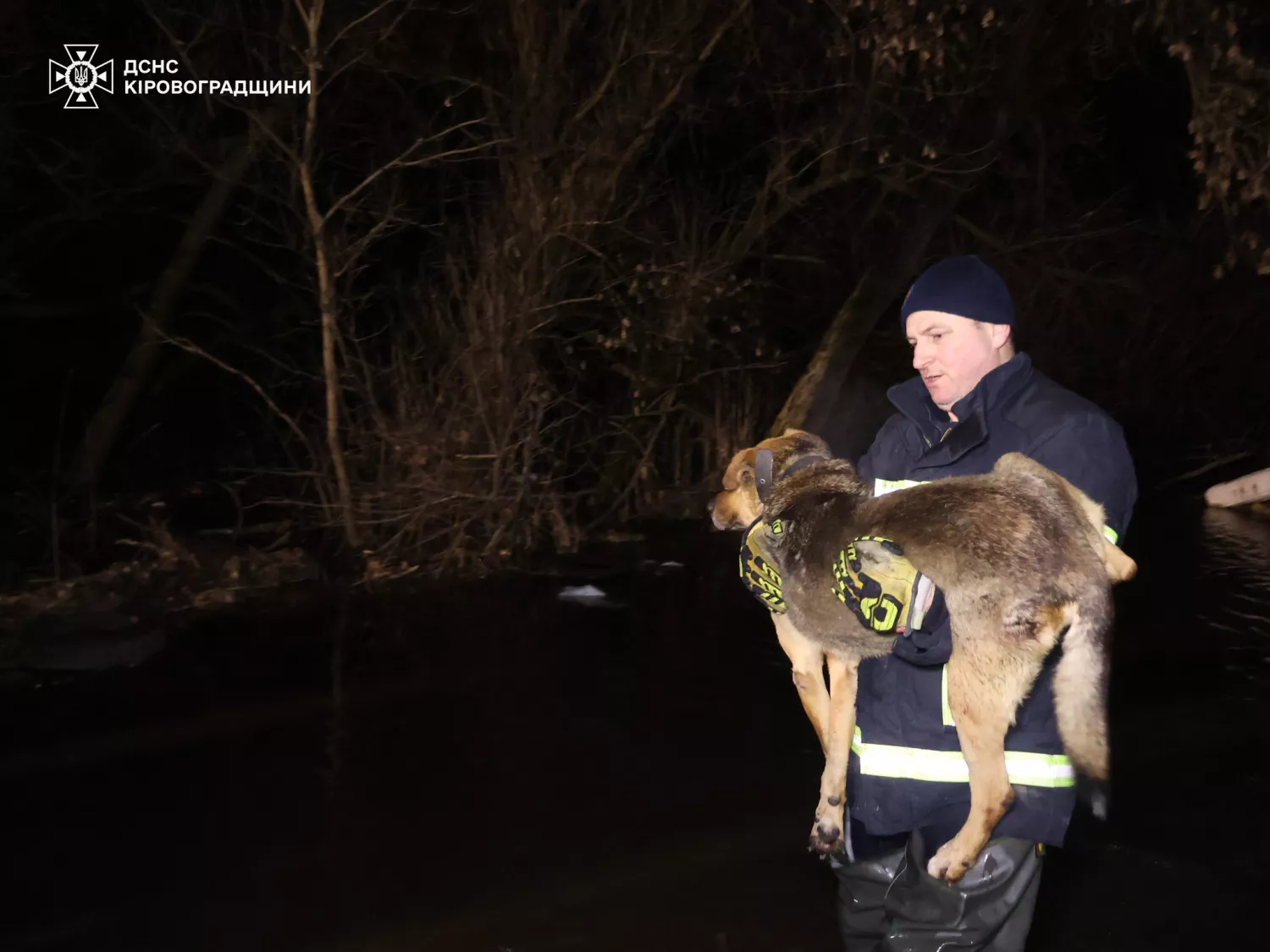 Врятованих після підриву Каховської ГЕС тварин знову евакуювали через повінь у Кропивницькому. Фото: ДСНС