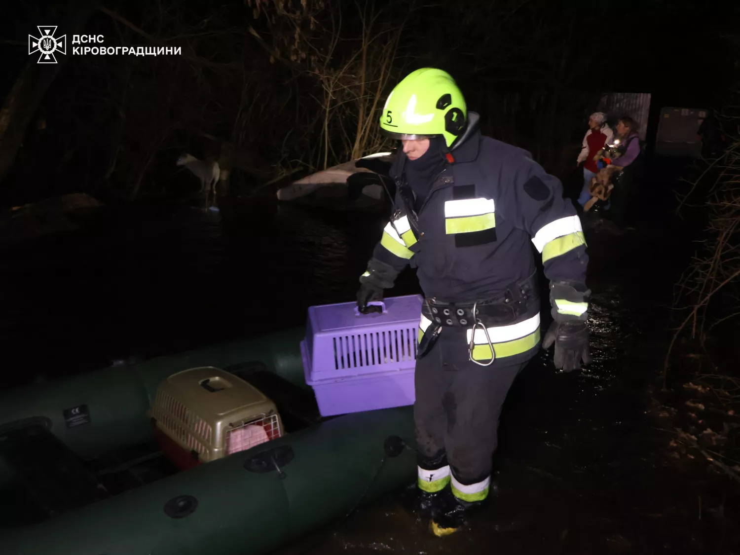 Врятованих після підриву Каховської ГЕС тварин знову евакуювали через повінь у Кропивницькому. Фото: ДСНС