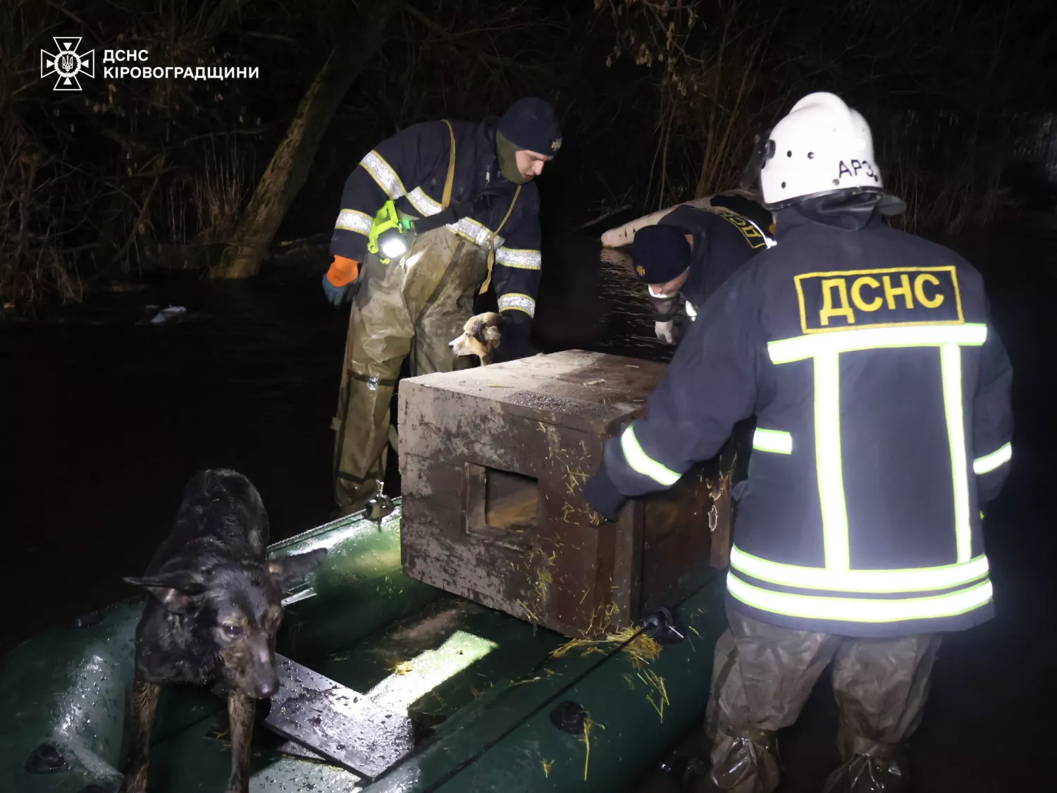 Врятованих після підриву Каховської ГЕС тварин знову евакуювали через повінь у Кропивницькому. Фото: ДСНС