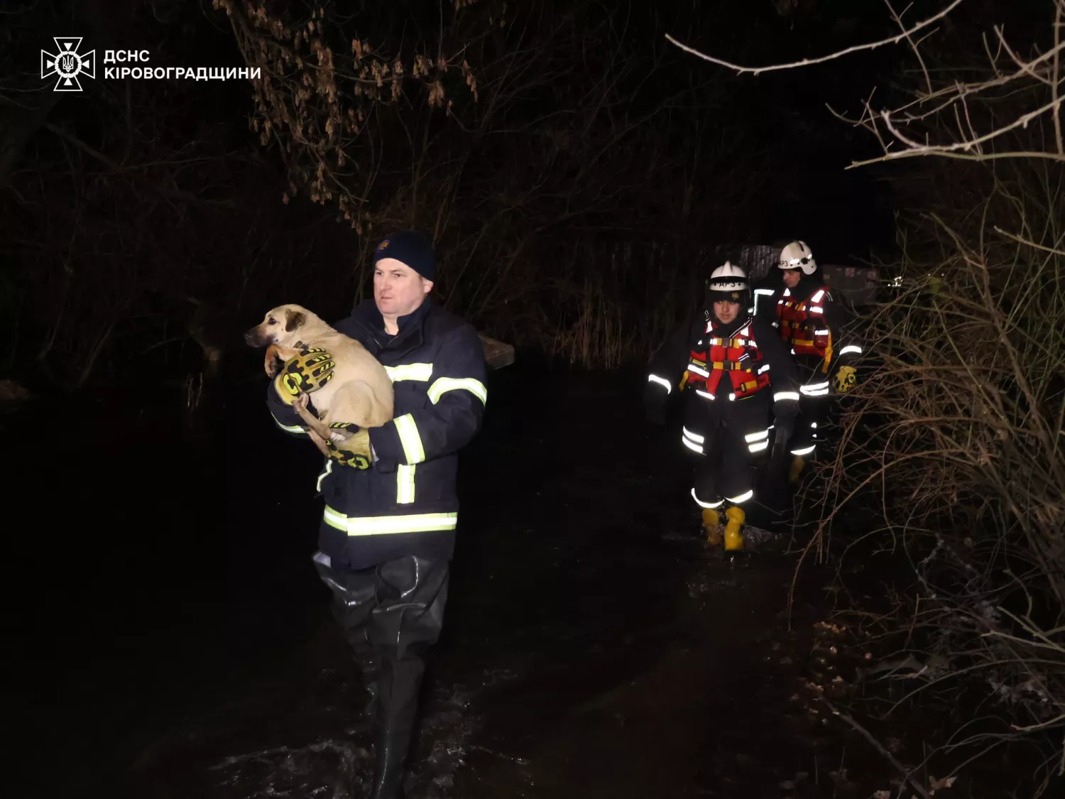 Врятованих після підриву Каховської ГЕС тварин знову евакуювали через повінь у Кропивницькому. Фото: ДСНС