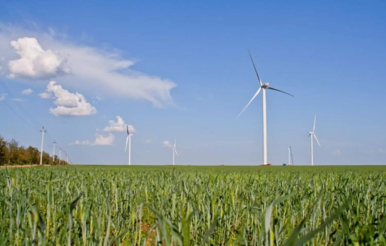 Вітряки в Миколаївській області, архівне фото