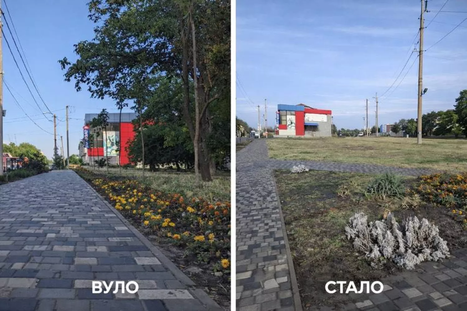 У Вознесенську біля багатоповерхівки спиляли всі дерева. Фото: Facebook-сторінка Вознесенськ - місто мрії