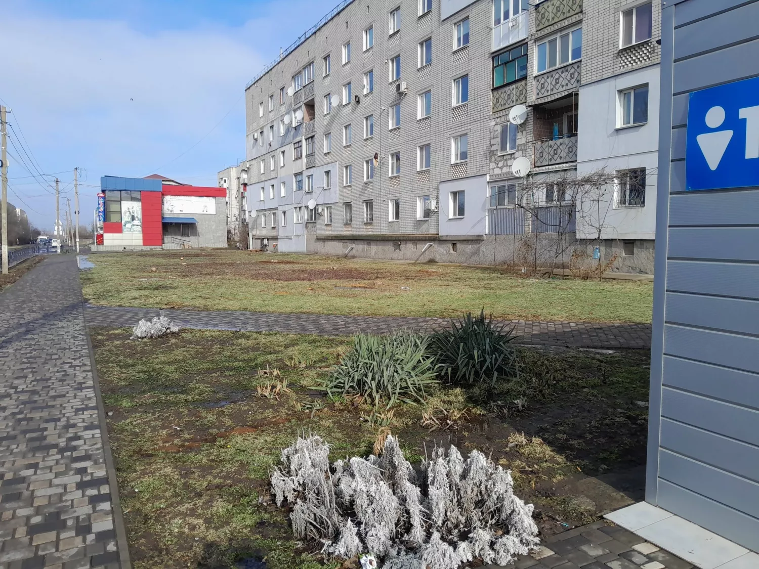 У Вознесенську біля багатоповерхівки спиляли всі дерева. Фото: Facebook-сторінка Вознесенськ - місто мрії