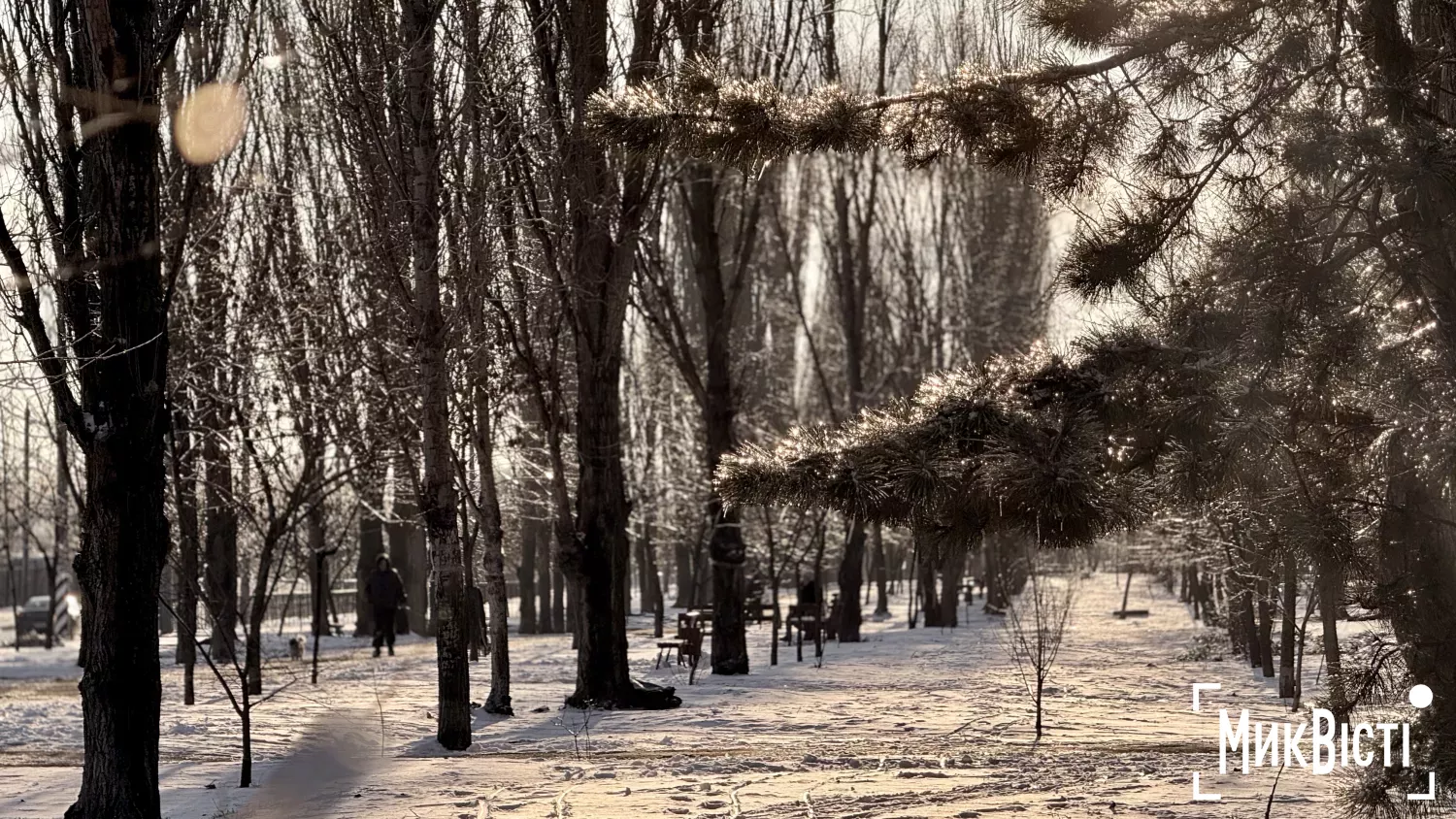 Миколаїв. Фото: НикВести