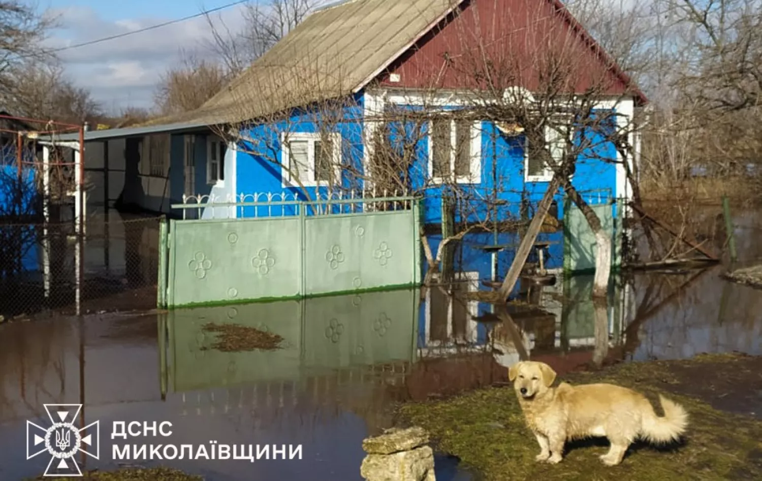 Через негоду на Миколаївщині 114 пунктів без світла. Фото: ДСНС в Миколаївській області
