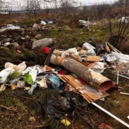 Сміттєзвалище у  мікрорайоні Тернівка. Фото: Миколаївська обласна прокуратура