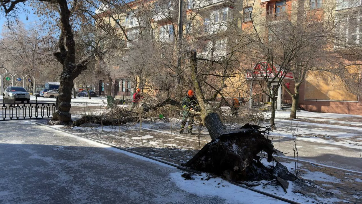 Повалені дерева через негоду у Миколаєві. Фото: Миколаївські Парки