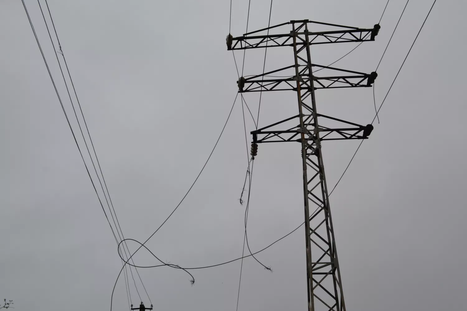 Пошкоджені мережі &laquo;Миколаївобленерго&raquo; / Фото пресслужби підприємства