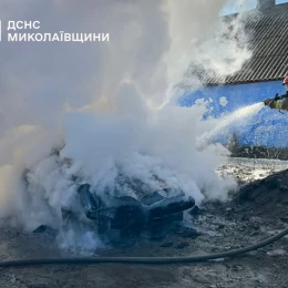 Наслідки пожеж на Миколаївщині 22 лютого, фото: ДСНС