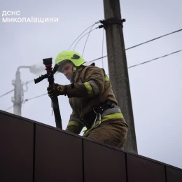 Пожежа у зоомагазині в Миколаєві 25 лютого. Фото: ДСНС