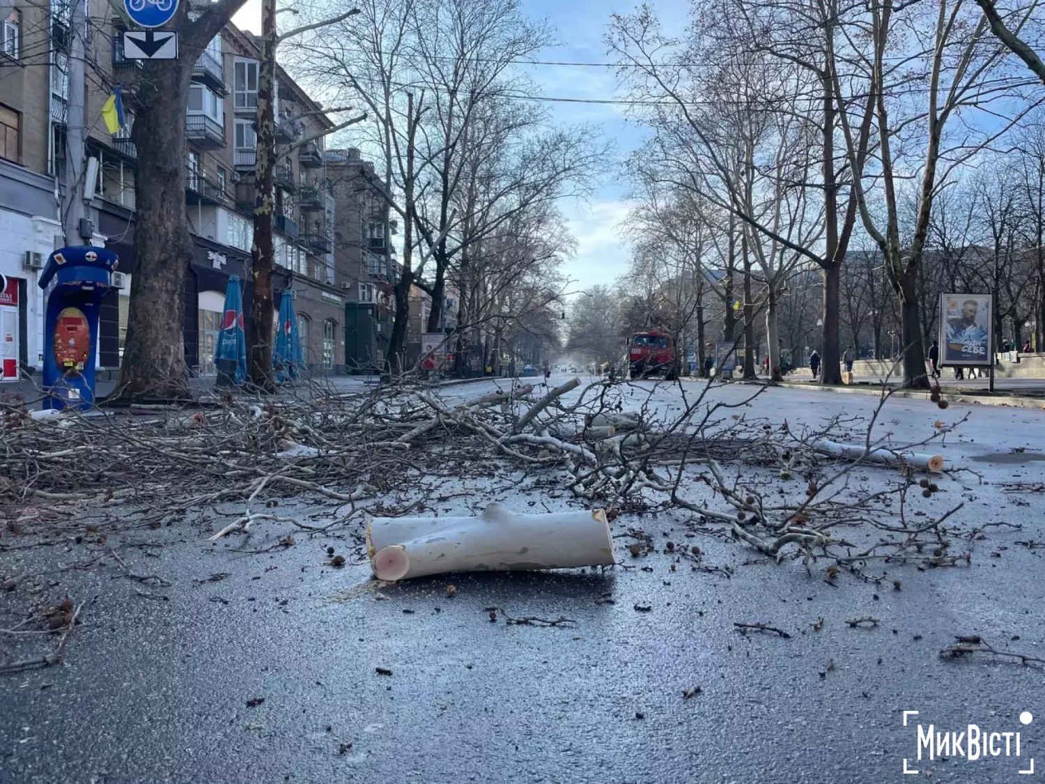Обрізка платанів на Соборній. Фото для ілюстрації з архіву МикВісті