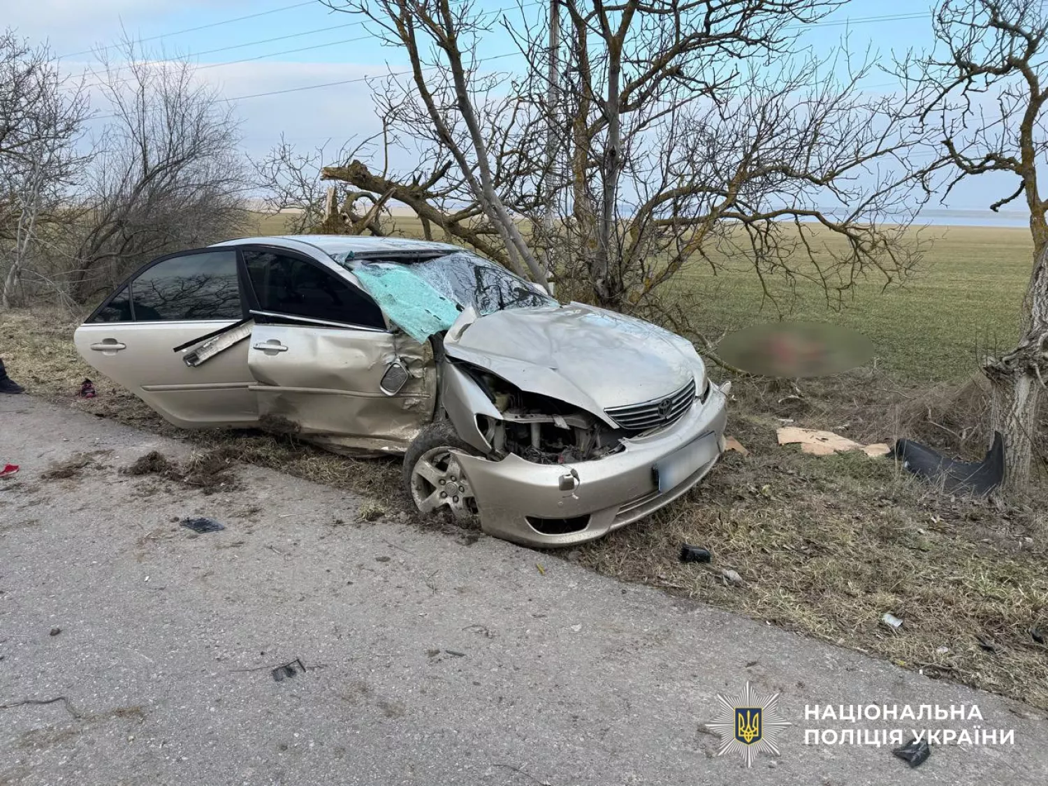 Наслідки аварії на Миколаївщини 27 лютого. Фото: Нацполіція