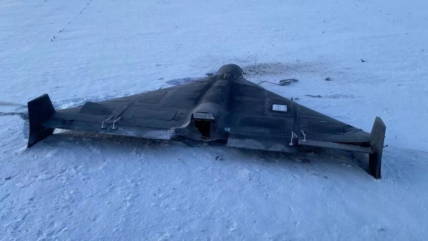 Збитий під Сумами «Шахед». Фото: ДПСУ