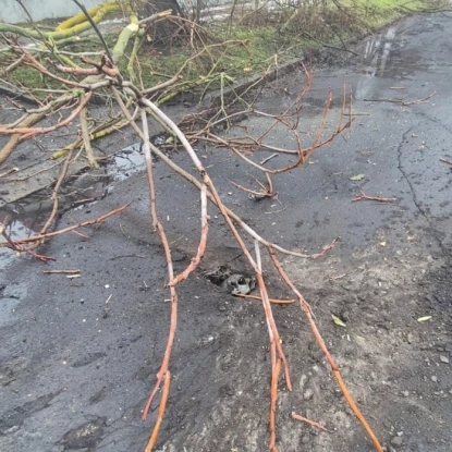 Наслідки обстрілу Херсонщини 8 лютого. Фото: Поліція Херсонської області