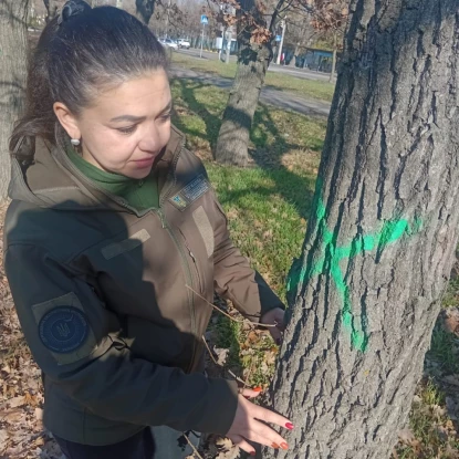 Екологи перевірили дуби біля «Зорі» у Миколаєві. Фото: Держекоінспекція