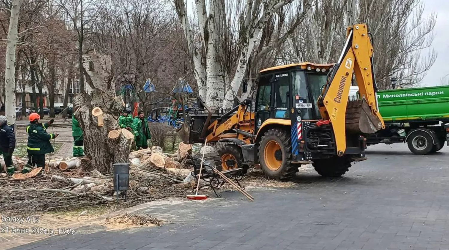КП «Миколаївські парки» проводить роботи зі спилу дерев на Флотському бульварі. Фото: соцмережі