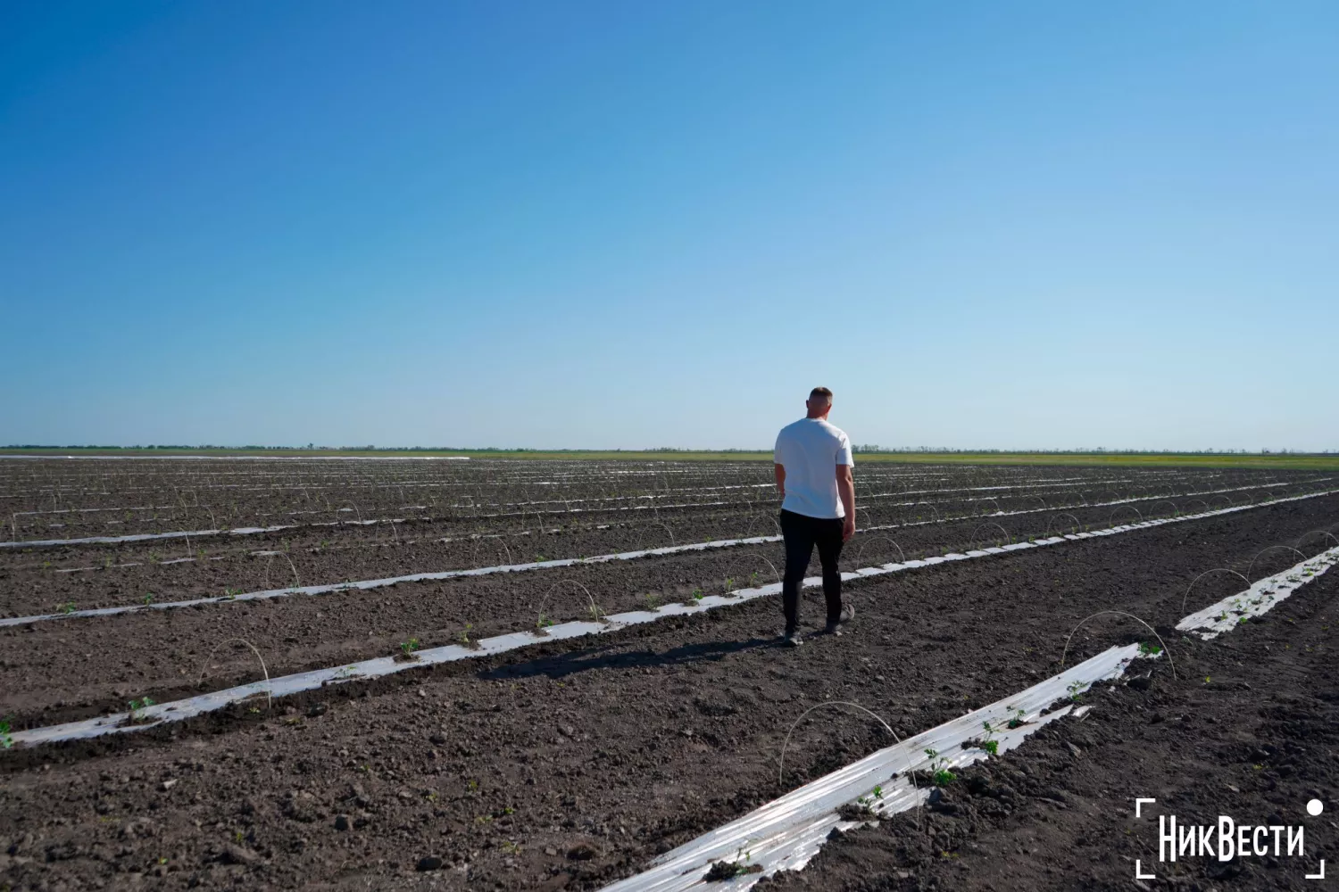 Архівне фото: МикВісті