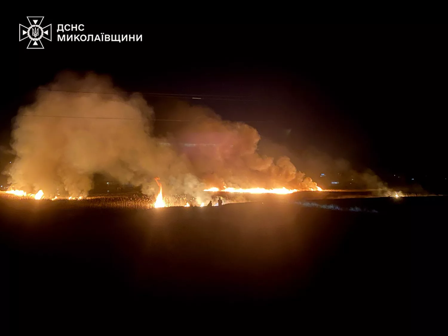 Пожежа 13 березня у Миколаївській області, фото: ДСНС