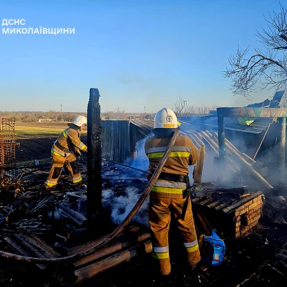 Пожежа 13 березня у Миколаївській області, фото: ДСНС