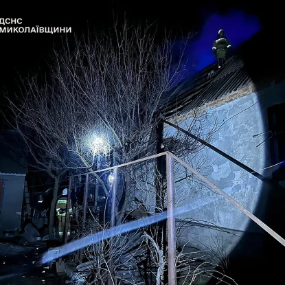 Пожежа 13 березня у Миколаївській області, фото: ДСНС