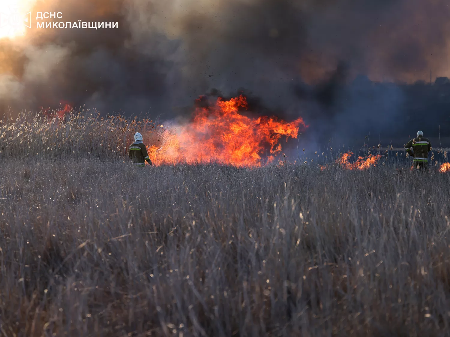 Пожежа очерету: Фото? ДСНС