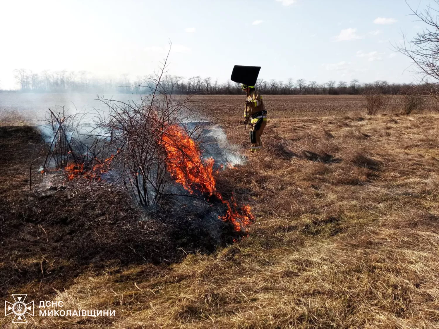 Рятувальники ліквідовують пожежу у Миколаївській області. Фото: ДСНС