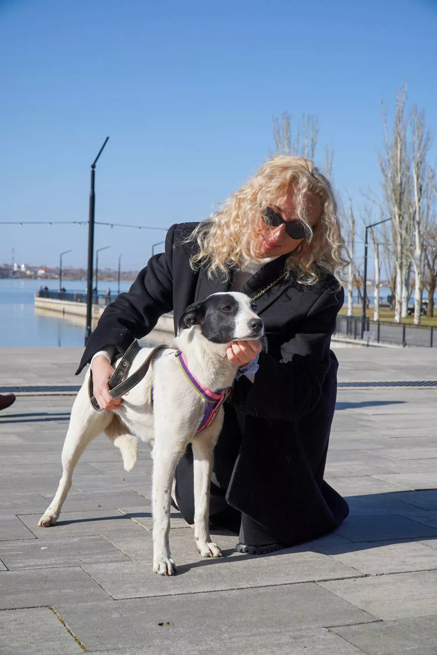 Акція з прилаштування тварин у Миколаєві відбудеться 21 березня. Фото: Друзі поруч