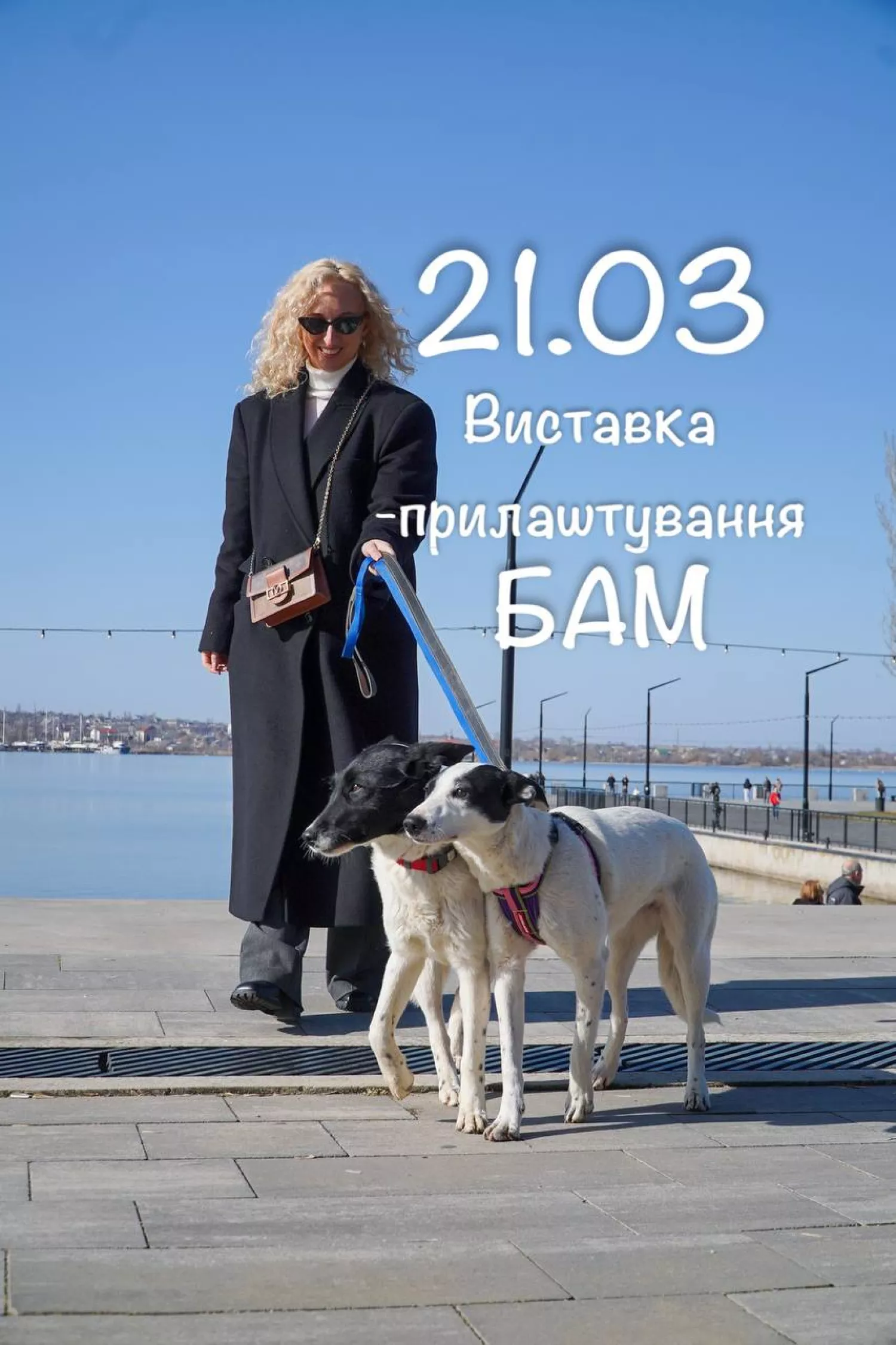 Акція з прилаштування тварин у Миколаєві відбудеться 21 березня. Фото: Друзі поруч