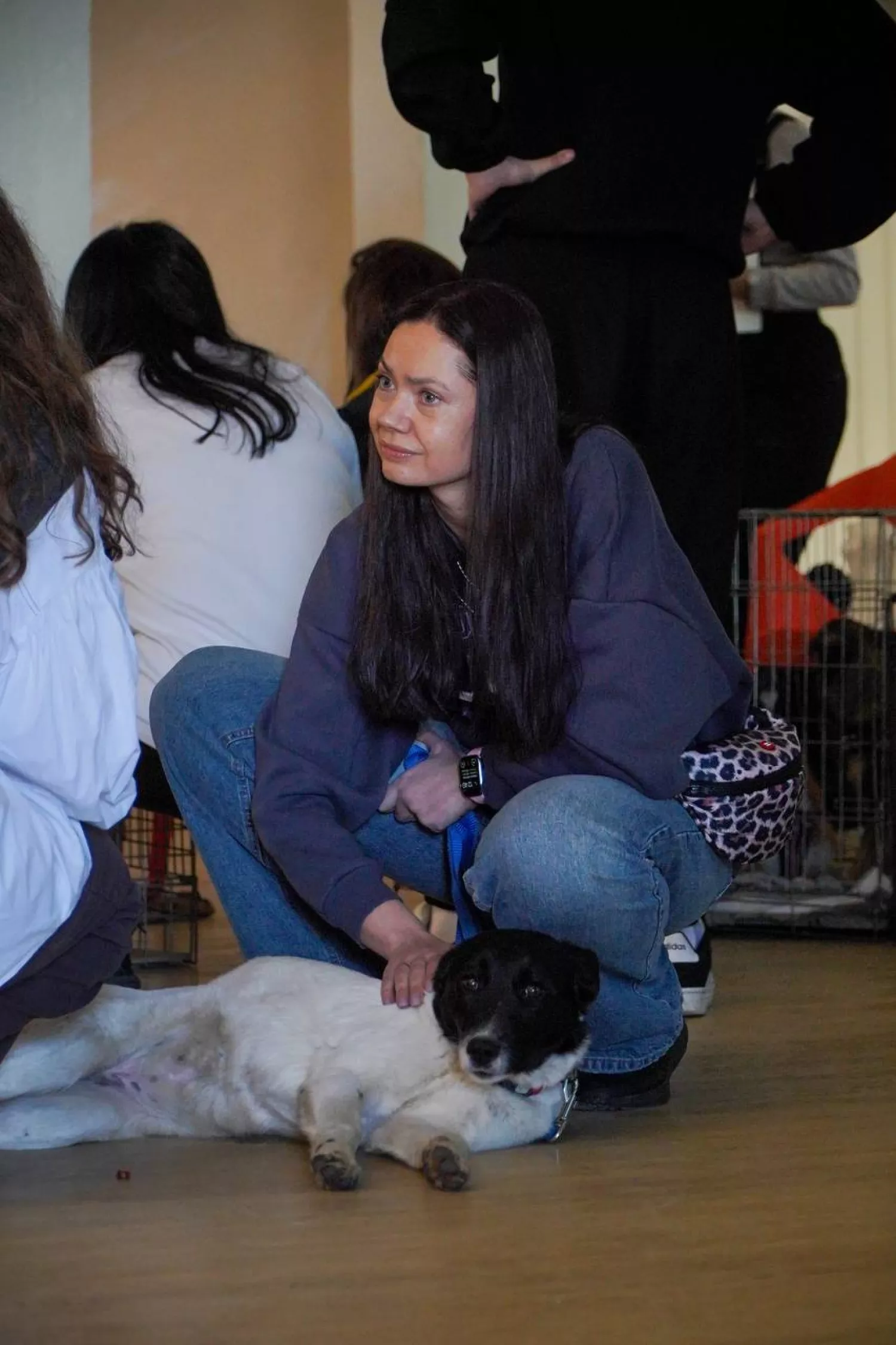 Акція з прилаштування тварин у Миколаєві відбудеться 21 березня. Фото: Друзі поруч