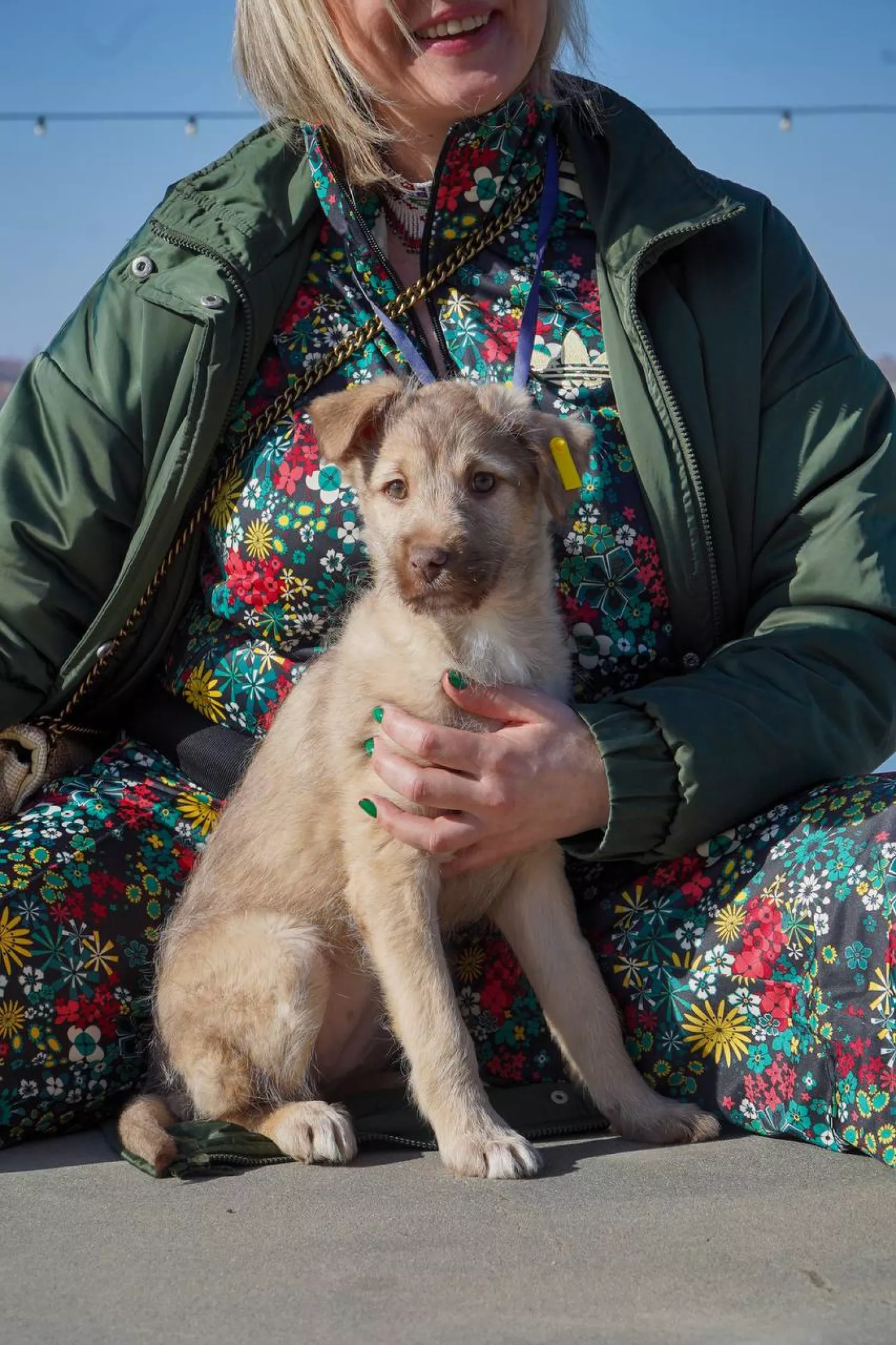 Акція з прилаштування тварин у Миколаєві відбудеться 21 березня. Фото: Друзі поруч