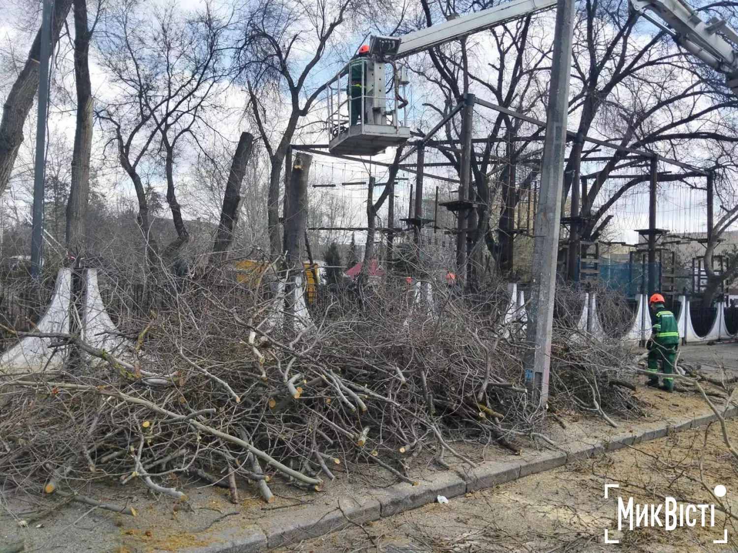 У дитячому містечку «Казка» знесуть п’ять берестів для ремонту мереж. Фото: читатів НикВести