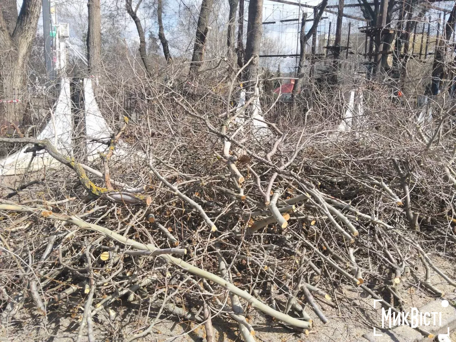 У дитячому містечку «Казка» знесуть п’ять берестів для ремонту мереж. Фото: читатів НикВести