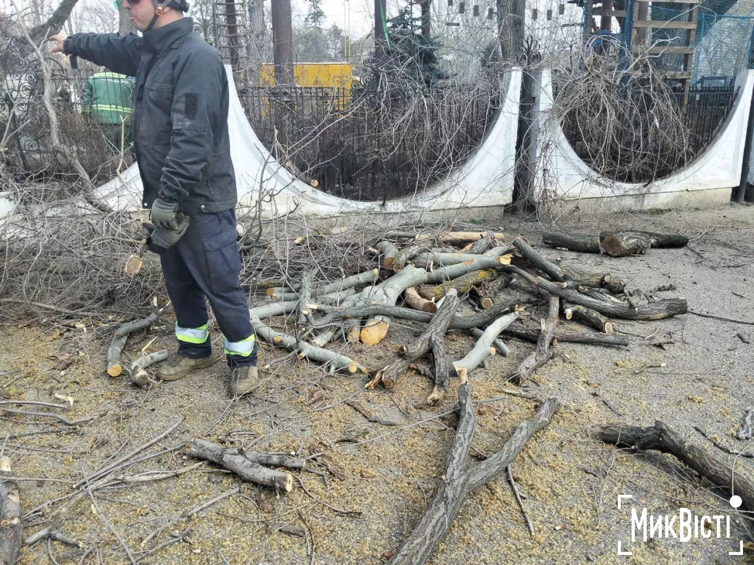 У дитячому містечку «Казка» знесуть п’ять берестів для ремонту мереж. Фото: читатів НикВести