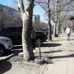 У Миколаєві продавці квітів отримають штраф за шкоду скверу. Фото: Держекоінспекція