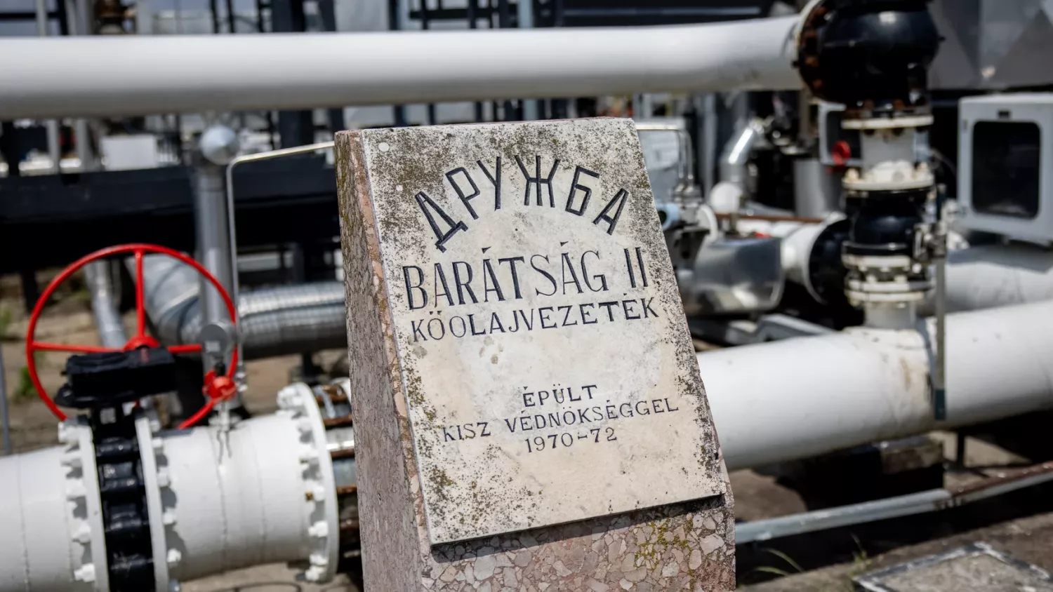 Ілюстративне фото: Janos Kummer / Getty Images